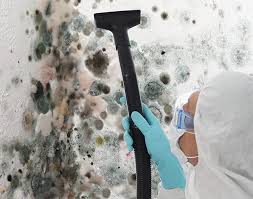 Professional Mold Remediation in Buffalo Center, IA